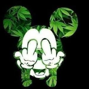 Meet your Posher, Tony